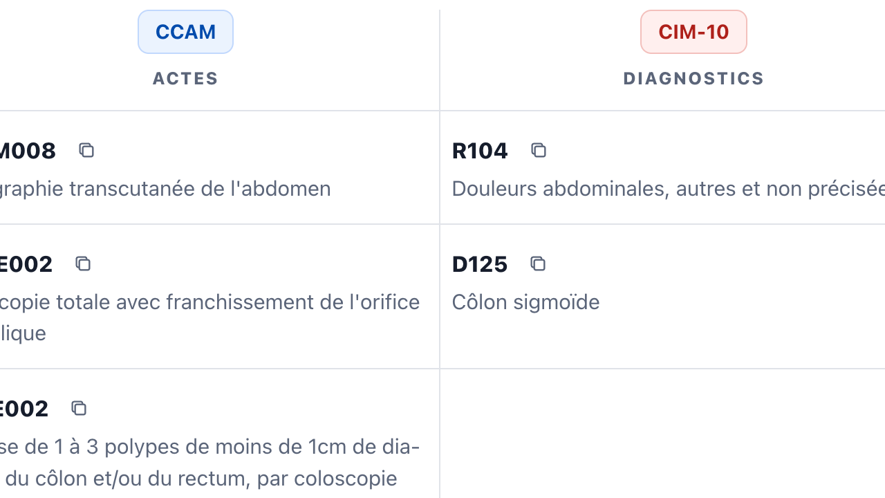 Aperçu de CodMed pour l'étape 5 : Un récapitulatif des codes sélectionnés